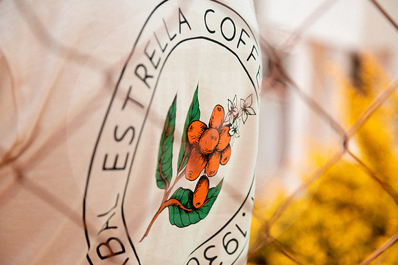 167 Chalabal Estrella - Producción en Finca Febrero 2024 por IndescriptibleFilms
