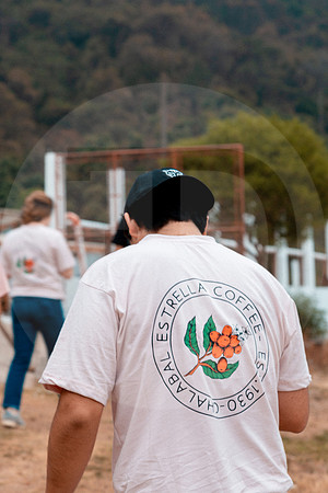 47 Chalabal Estrella - Producción en Finca Febrero 2024 por IndescriptibleFilms