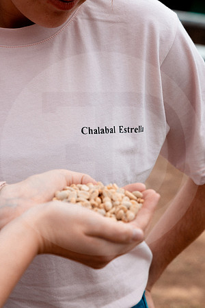 59 Chalabal Estrella - Producción en Finca Febrero 2024 por IndescriptibleFilms