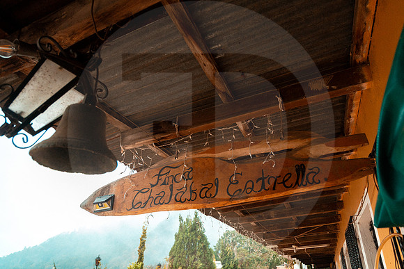 01 Chalabal Estrella - Producción en Finca Febrero 2024 por IndescriptibleFilms