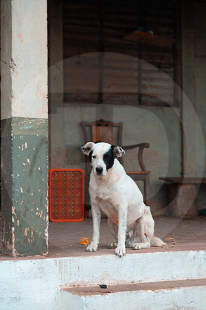 03 Chalabal Estrella - Producción en Finca Febrero 2024 por IndescriptibleFilms
