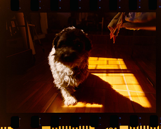 06 siempre.agosto - Kodak Gold 200 por Arca Film Lab (Febrero 2024)