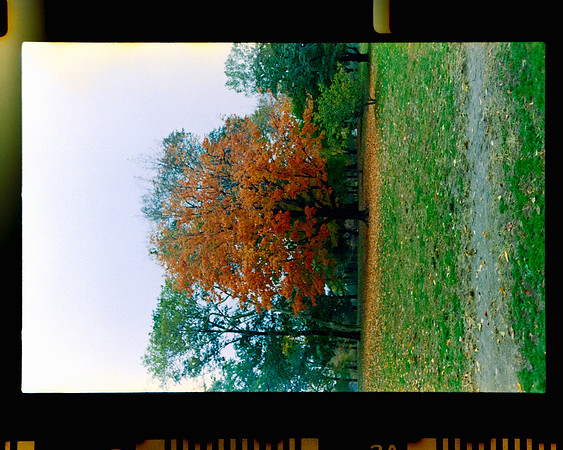 22 siempre.agosto - Kodak Gold 200 por Arca Film Lab (Febrero 2024)