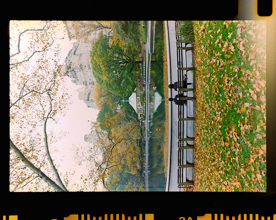 23 siempre.agosto - Kodak Gold 200 por Arca Film Lab (Febrero 2024)