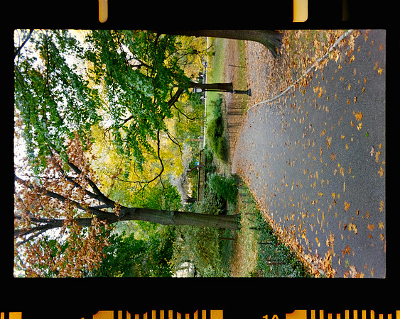 24 siempre.agosto - Kodak Gold 200 por Arca Film Lab (Febrero 2024)