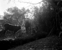 07 Fabriccio Díaz - Ilford HP5 400 Plus 120 por Arca Film Lab (Febrero 2024)