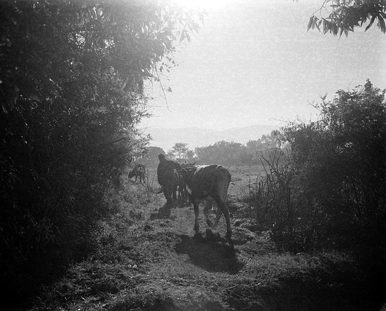 08 Fabriccio Díaz - Ilford HP5 400 Plus 120 por Arca Film Lab (Febrero 2024)