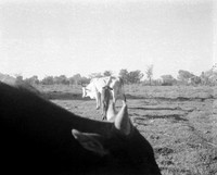 10 Fabriccio Díaz - Ilford HP5 400 Plus 120 por Arca Film Lab (Febrero 2024)