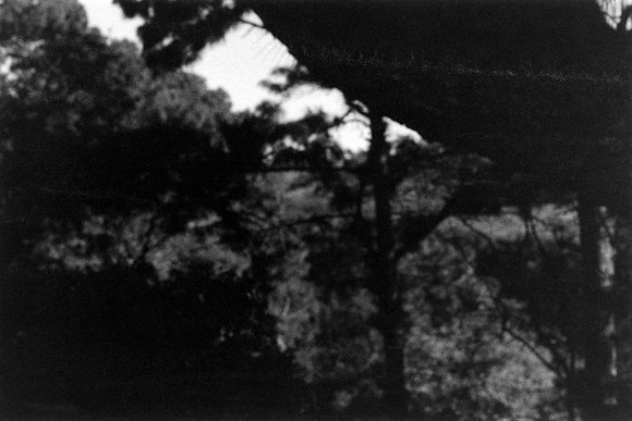 02 Javigon_03 - Lomography Lady Gray 400 por Arca Film Lab (Febrero 2024)