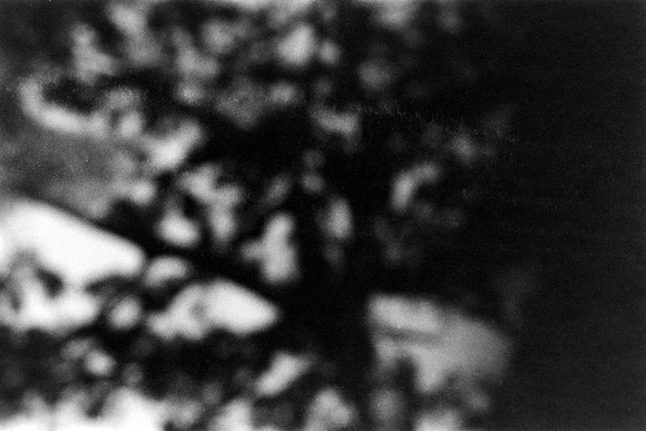 01 Javigon_03 - Lomography Lady Gray 400 por Arca Film Lab (Febrero 2024)