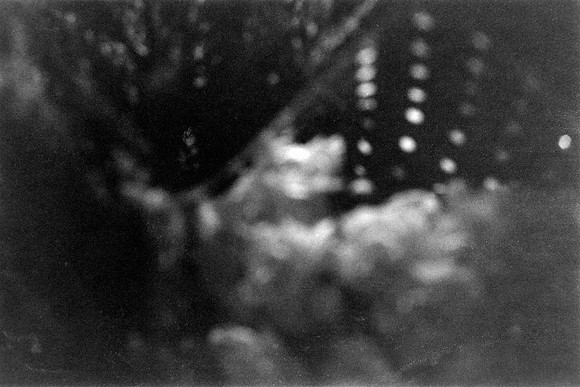 03 Javigon_03 - Lomography Lady Gray 400 por Arca Film Lab (Febrero 2024)