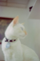 15 Abraham Castillo - Fujifilm 400 por Arca Film Lab (Junio 2025) - Rollo 1118