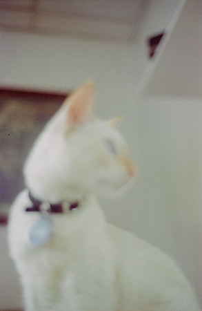 15 Abraham Castillo - Fujifilm 400 por Arca Film Lab (Junio 2025) - Rollo 1118