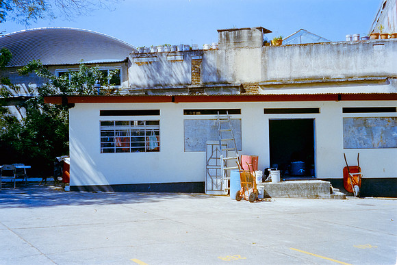 08 Lisgar_Santos - Cinestill 800T por Arca Film Lab (Febrero 2024)
