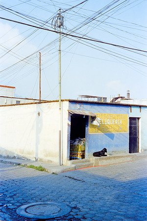 20 Lisgar_Santos - Cinestill 800T por Arca Film Lab (Febrero 2024)
