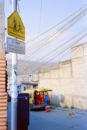 21 Lisgar_Santos - Cinestill 800T por Arca Film Lab (Febrero 2024)