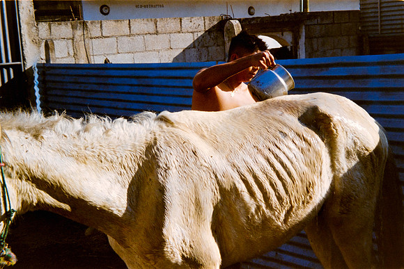 29 Lisgar_Santos - Kodak Ultramax 400 por Arca Film Lab (Febrero 2024)