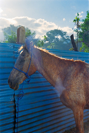 30 Lisgar_Santos - Kodak Ultramax 400 por Arca Film Lab (Febrero 2024)