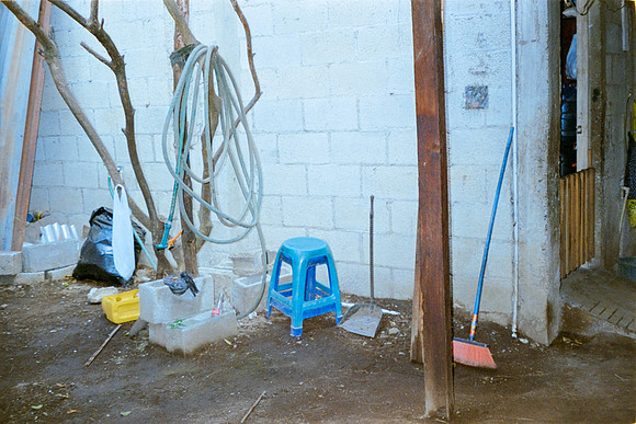 36 Lisgar_Santos - Kodak Ultramax 400 por Arca Film Lab (Febrero 2024)