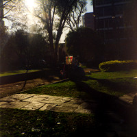 09 Aldo Villatoro - Kodak Portra 400 120 Expirado por Arca Film Lab (Febrero 2024)