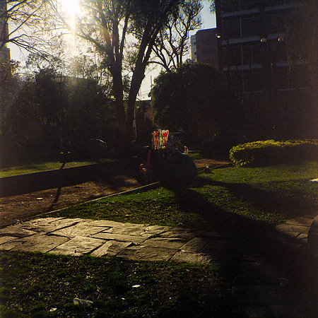 09 Aldo Villatoro - Kodak Portra 400 120 Expirado por Arca Film Lab (Febrero 2024)