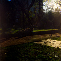 10 Aldo Villatoro - Kodak Portra 400 120 Expirado por Arca Film Lab (Febrero 2024)