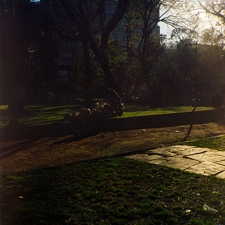 10 Aldo Villatoro - Kodak Portra 400 120 Expirado por Arca Film Lab (Febrero 2024)