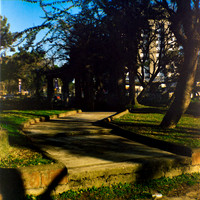 12 Aldo Villatoro - Kodak Portra 400 120 Expirado por Arca Film Lab (Febrero 2024)