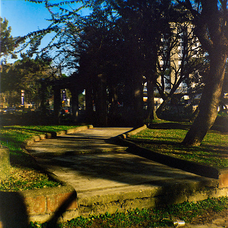 12 Aldo Villatoro - Kodak Portra 400 120 Expirado por Arca Film Lab (Febrero 2024)
