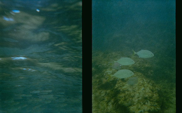 04 Jimmy Barrientos - Kodak Gold 200 por Arca Film Lab (Junio 2025) - Rollo 1141