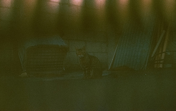 22 Elliot Morales - Kodak Ektachrome 100 por Arca Film Lab (Febrero 2025) - Rollo 0848