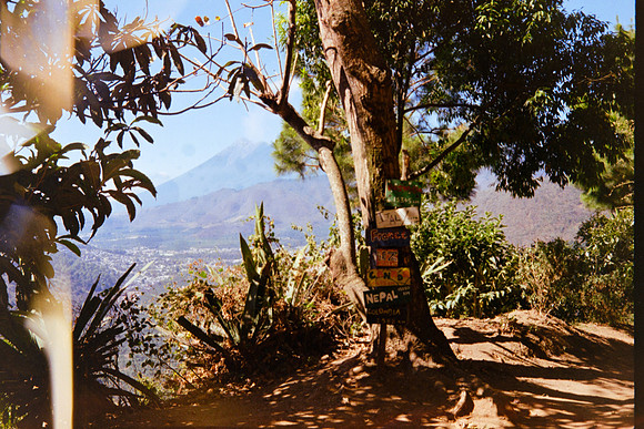 13 Esteban Ruiz - Fujifilm 200 por Arca Film Lab (Febrero 2024)