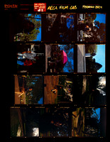 13 Aldo Villatoro - Kodak Portra 400 120 Expirado por Arca Film Lab (Febrero 2024)
