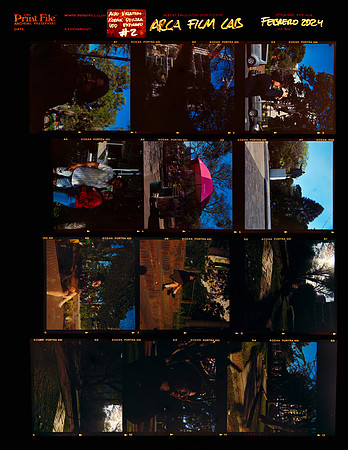 13 Aldo Villatoro - Kodak Portra 400 120 Expirado por Arca Film Lab (Febrero 2024)