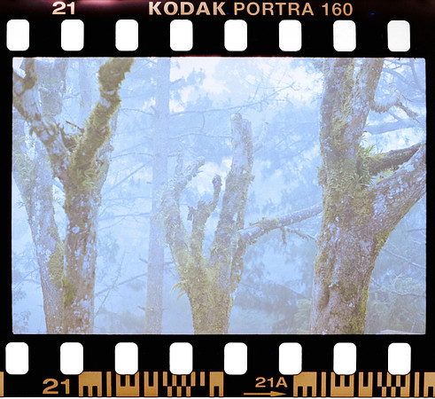 17 Erick Sandoval - Kodak Portra 160 por Arca Film Lab (Septiembre 2024) - Rollo 0352