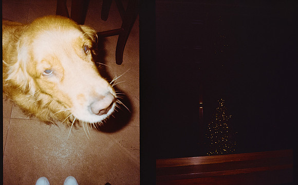 18 Natalia Cordón - Kodak Gold 200 por Arca Film Lab (Abril 2025) - Rollo 0947