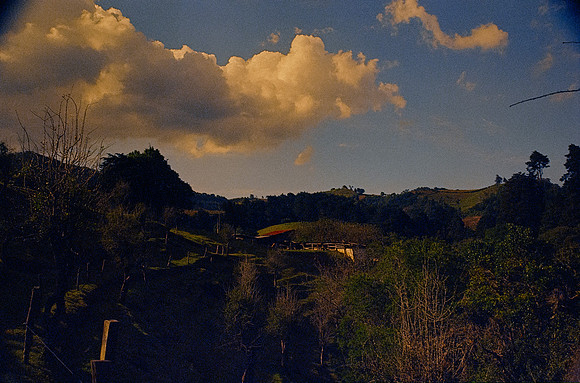 30 Omar Véliz - Kodak Vision 3 500T por Arca Film Lab (Febrero 2025) - Rollo 0682