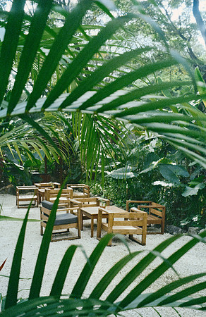 01 Tatjana Mair - Kodak Ultramax 400 por Arca Film Lab (Abril 2025) - Rollo 0905
