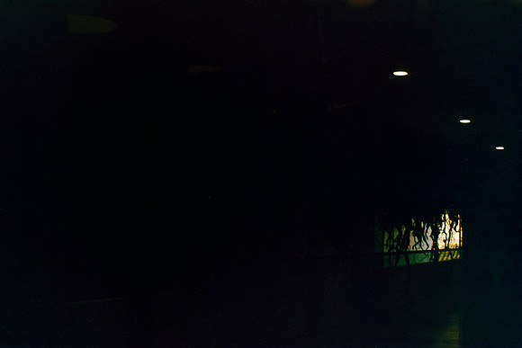 08 Annalu Gálvez - Fujifilm 200 por Arca Film Lab (Marzo 2024)