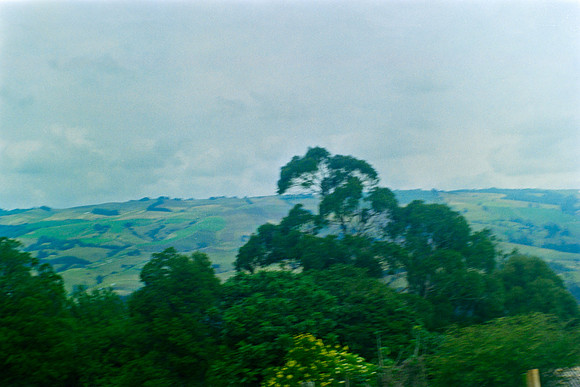 12 Annalu Gálvez - Fujifilm 200 por Arca Film Lab (Marzo 2024)