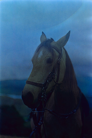 16 Annalu Gálvez - Fujifilm 200 por Arca Film Lab (Marzo 2024)