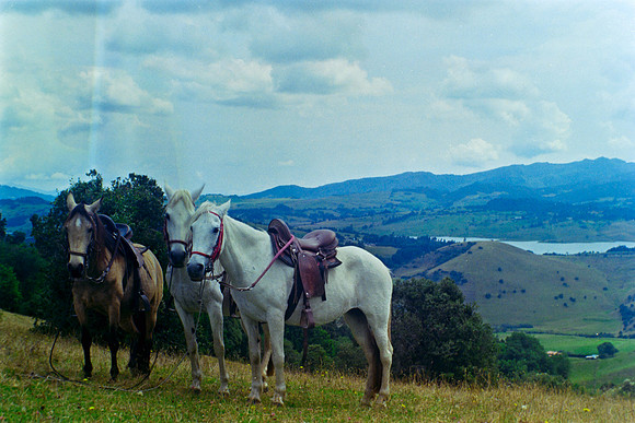 17 Annalu Gálvez - Fujifilm 200 por Arca Film Lab (Marzo 2024)