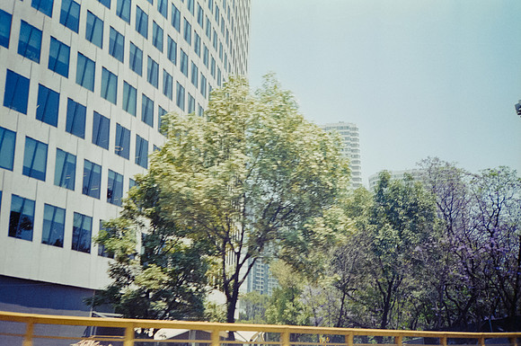 22 José Vásquez - Fujifilm Superia X-TRA 400 por Arca Film Lab (Enero 2025) - Rollo 0671