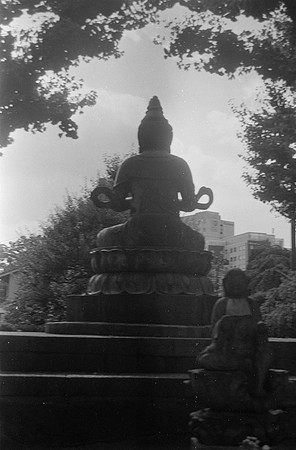 30 Javier Flores - Ilford HP5+ 400 por Arca Film Lab (Octubre 2024) - Rollo 0422