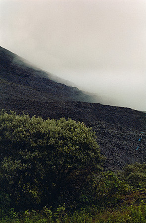 03 Ricardo Rodas - Kodak Portra 400 por Arca Film Lab (Enero 2025) - Rollo 0655
