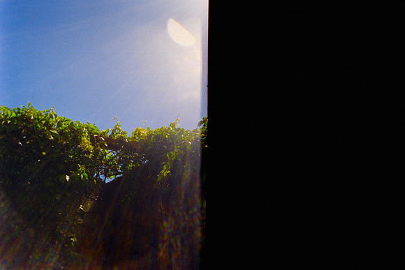 12 Ilse Romero - Amber 400 por Arca Film Lab (Marzo 2024)