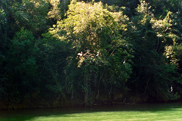 15 Rafael Peyré - Cinestilll 400D por Arca Film Lab (Marzo 2024)