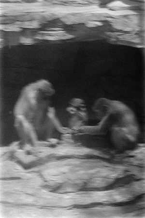 05 José Gabogato - Ilford Hp5 Plus 400 por Arca Film Lab (Marzo 2024)