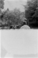 01 José Gabogato - Ilford Hp5 Plus 400 por Arca Film Lab (Marzo 2024)