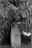 16 José Gabogato - Ilford Hp5 Plus 400 por Arca Film Lab (Marzo 2024)
